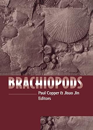 brachiopods 1st edition paul copper 9054108169, 978-9054108160
