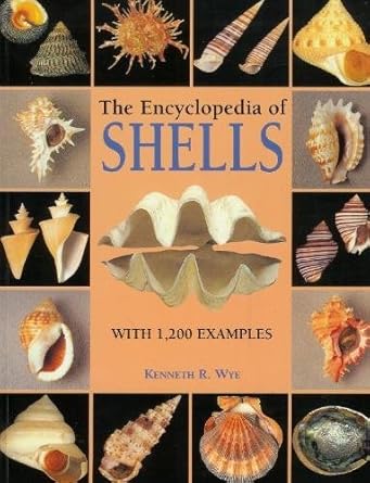 the encyclopedia of shells 1st edition kenneth r wye 1861609523, 978-1861609526