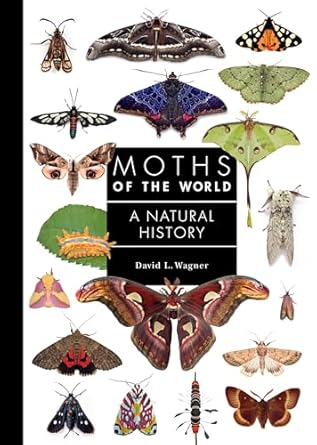 moths of the world a natural history 1st edition david l wagner 0691248281, 978-0691248288