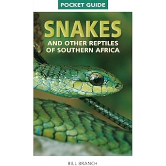 pocket guide snakes and reptiles of south africa 1st edition bill branch 1775841642, 978-1775841647