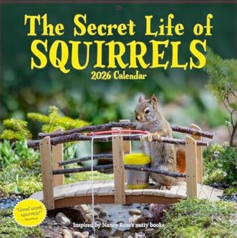 secret life of squirrels wall calendar 2026 1st edition nancy rose ,workman calendars 1523531258,