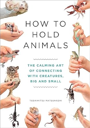 how to hold animals 1st edition toshimitsu matsuhashi ,angus turvill 1529404533, 978-1529404531