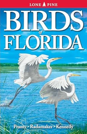 birds of florida 1st edition bill pranty ,kurt radamaker ,gregory kennedy 9768200065, 978-9768200068