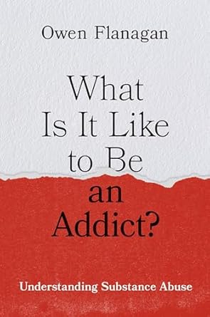 what is it like to be an addict understanding substance abuse 1st edition owen flanagan 019938892x,