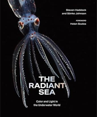 the radiant sea color and light in the underwater world 1st edition steven haddock ,sonke johnsen ,helen