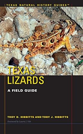 texas lizards a field guide 1st edition troy d hibbitts ,toby j hibbitts ,laurie j vitt 0292759347,
