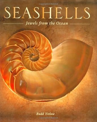 seashells jewels from the ocean 1st edition budd titlow 0760325936, 978-0760325933