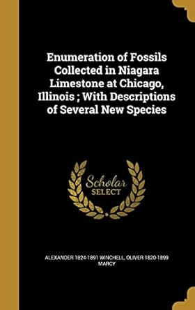enumeration of fossils collected in niagara limestone at chicago illinois with descriptions of several new