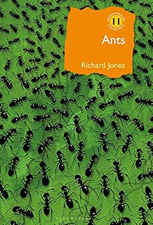 ants the ultimate social insects 1st edition richard jones 1472964861, 978-1472964861