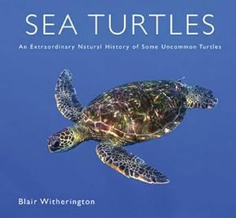 sea turtles an extraordinary natural history of some uncommon turtles 1st edition blair e witherington