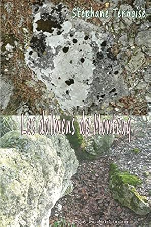 les dolmens de montcuq 1st edition stephane ternoise 2365415814, 978-2365415811