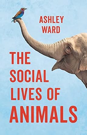 the social lives of animals 1st edition ashley ward 1541600835, 978-1541600836