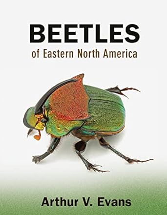 beetles of eastern north america 1st edition arthur v evans 0691133042, 978-0691133041