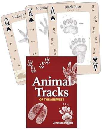 animal tracks of the midwest playing cards 1st edition jonathan poppele 1591934877, 978-1591934875
