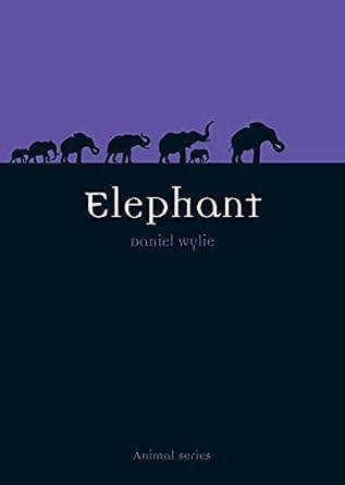 elephant 1st edition dan wylie 1861893973, 978-1861893970