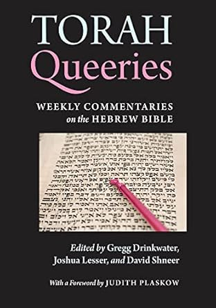 torah queeries weekly commentaries on the hebrew bible 1st edition gregg drinkwater ,joshua lesser ,david
