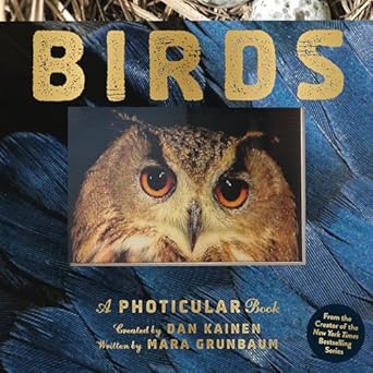 birds a photicular book 1st edition dan kainen ,mara grunbaum 1523532076, 978-1523532070