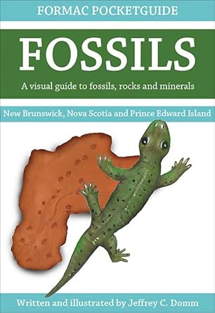 formac pocketguide to fossils fossils rocks and minerals in nova scotia new brunswick and prince edward