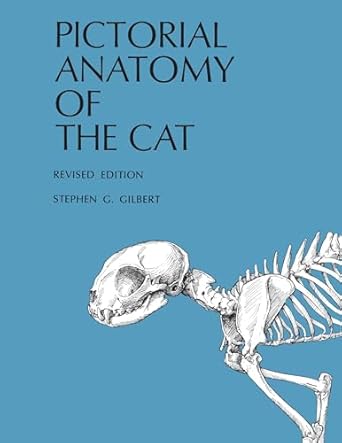 pictorial anatomy of the cat 1st edition stephen g gilbert 029595454x, 978-0295954547