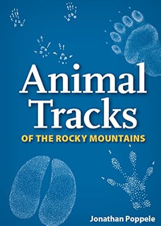 animal tracks of the rocky mountains playing cards 1st edition jonathan poppele 1591936934, 978-1591936930