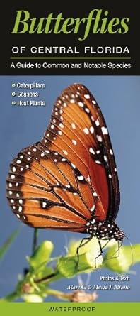 butterflies of central florida a guide to common and notable species 1st edition marc minno 0982885601,