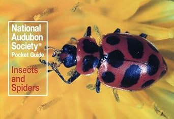 national audubon society pocket guide insects and spiders 1st edition national audubon society 0394757920,