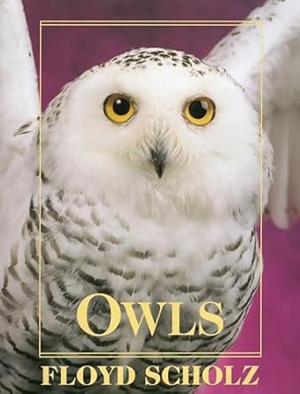 owls an artists guide to understanding owls 1st edition floyd scholz 0811710211, 978-0811710213