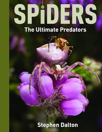 spiders the ultimate predators 1st edition stephen dalton 1554073464, 978-1554073467