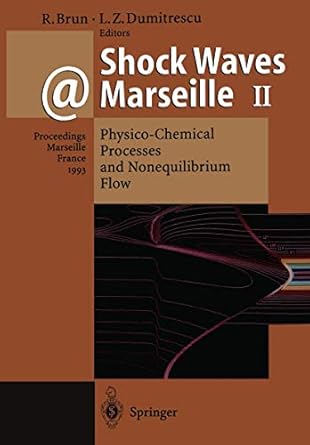 shock waves marseille ii physico chemical processes and nonequilibrium flow proceedings of the 19th