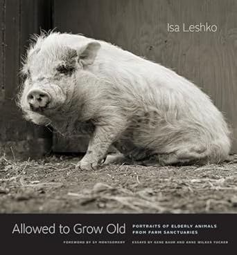 allowed to grow old portraits of elderly animals from farm sanctuaries 1st edition isa leshko ,anne wilkes