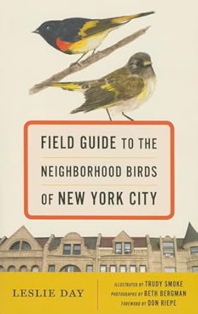 field guide to the neighborhood birds of new york city 1st edition leslie day ,don riepe ,trudy smoke ,beth