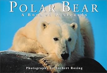 polar bear a book of postcards 1st edition norbert rosing 1552093069, 978-1552093061