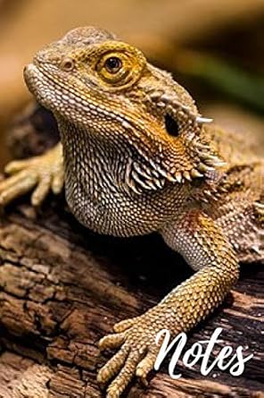 bearded dragon notebook unique bearded dragons gift for animal and reptile lovers great for writing notes and