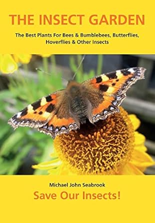 the insect garden the best plants for bees and bumblebees butterflies hoverflies and other insects 1st