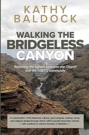 walking the bridgeless canyon repairing the breach between the church and the lgbt community 1st edition