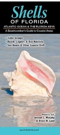 shells of florida atlantic ocean and florida keys a beachcombers guide to coastal areas 1st edition jeanne l