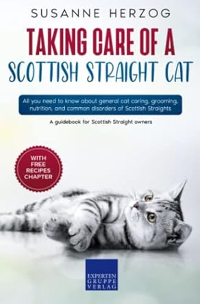 taking care of a scottish straight cat all you need to know about general cat caring grooming nutrition and