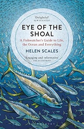 eye of the shoal a fishwatchers guide to life the ocean and everything 1st edition helen scales 1472936825,