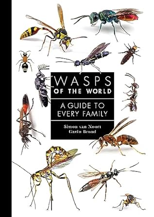 wasps of the world a guide to every family 1st edition simon van noort ,gavin broad 0691238545, 978-0691238548