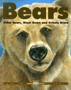 bears 1st edition deborah hodge ,pat stephens 0613163265, 978-0613163262