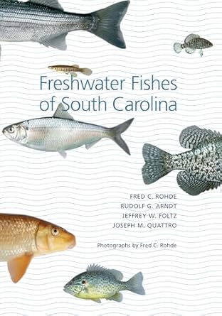 freshwater fishes of south carolina 1st edition fred c rohde ,rudolf g arndt ,jeffrey w foltz ,joseph m