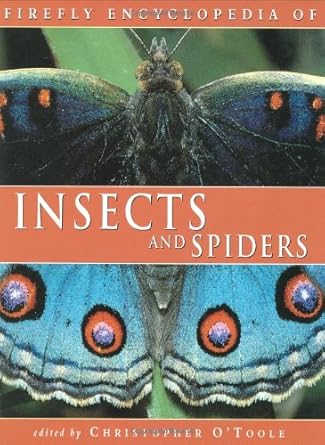 firefly encyclopedia of insects and spiders 1st edition christopher o'toole 1552976122, 978-1552976128