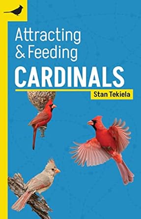 attracting and feeding cardinals 1st edition stan tekiela 1647553318, 978-1647553319