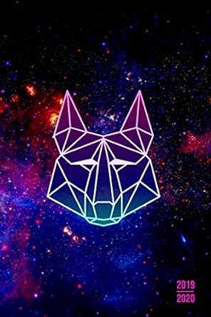 2019 2020 planner 2 years monthly weekly calendar organizer diary with essential goals and notes section