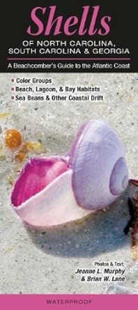 shells of north carolina south carolina and georgia a beachcombers guide to the atlantic coast 1st edition