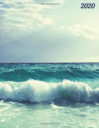 2020 12 month calendar and planner daily notes plans and agendas 1st edition labyrinth dreams 1080159703,