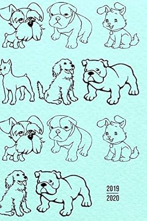 2019 2020 planner 2 years monthly weekly calendar organizer diary with essential goals and notes section blue