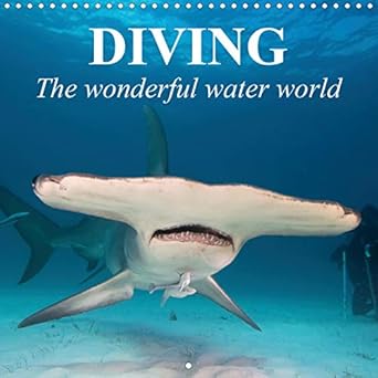 diving the wonderful water world 2020 adventures in the dark blue sea 1st edition elisabeth stanzer