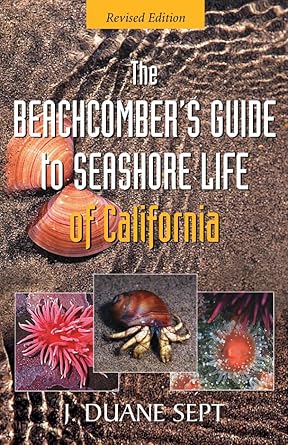 the beachcombers guide to seashore life of california 1st edition j duane sept 1550174967, 978-1550174960