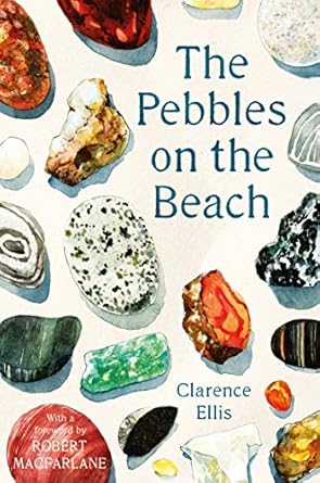 the pebbles on the beach 1st edition clarence ellis ,robert macfarlane 0571347932, 978-0571347933